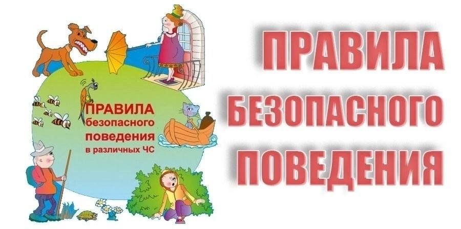 Сухая растительность и безопасность в лесу:  рекомендации МЧС